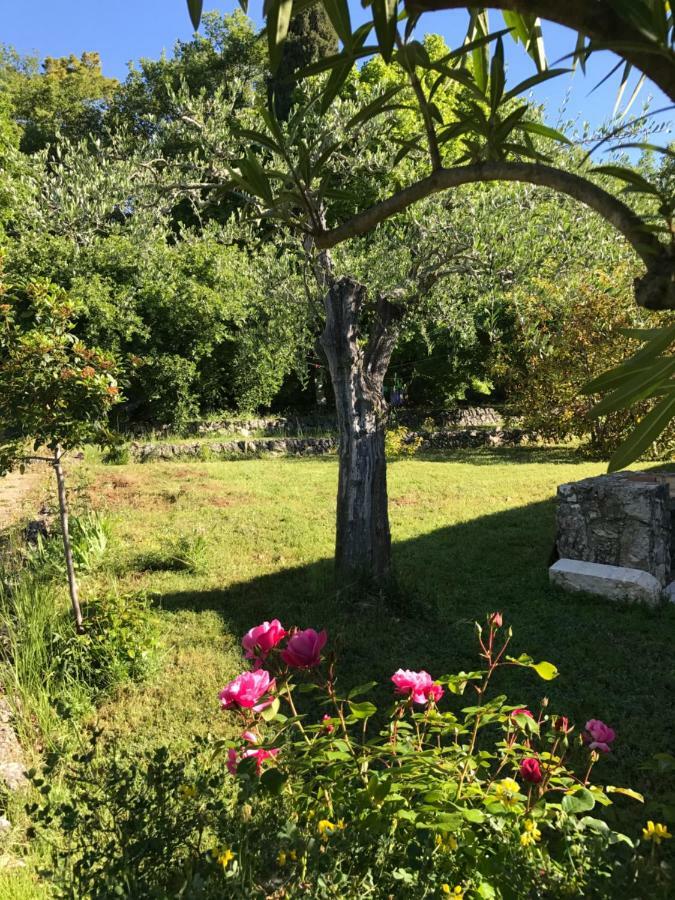 Villa Du Sud Vence Buitenkant foto