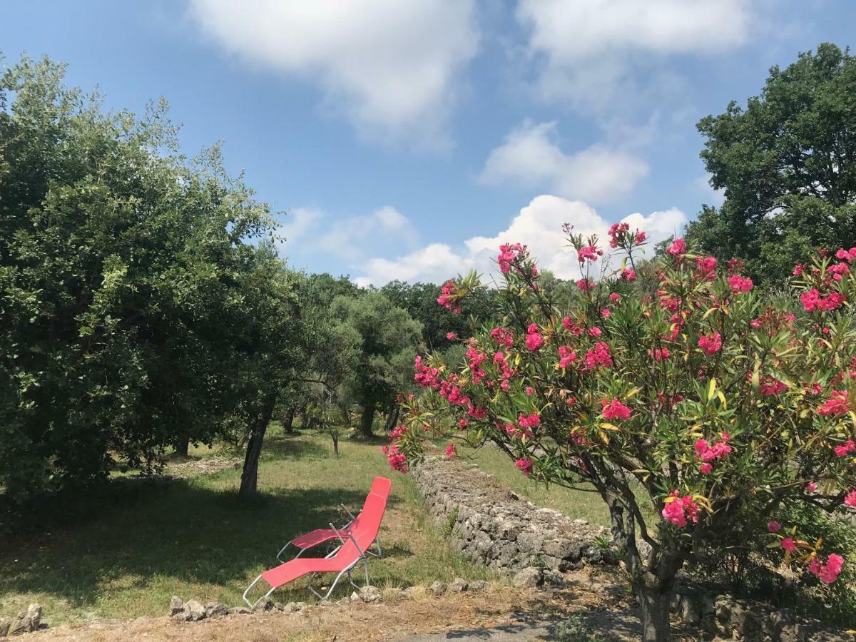Villa Du Sud Vence Buitenkant foto